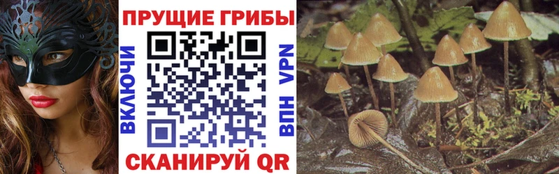 Псилоцибиновые грибы MAGIC MUSHROOMS  Купить закладки  Островной 